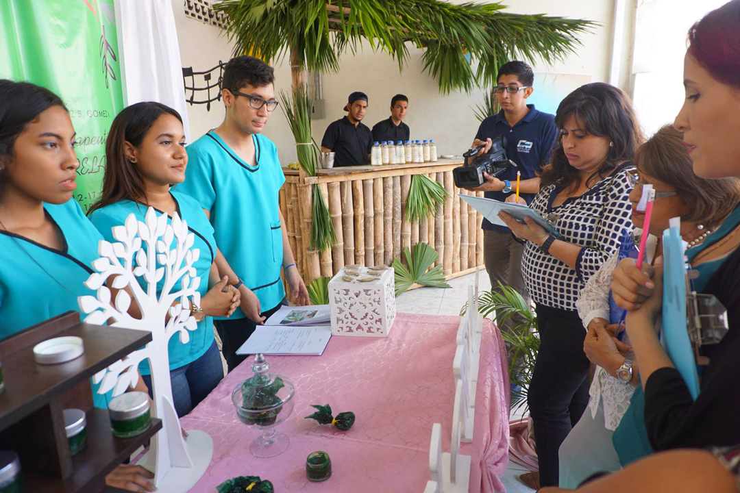 Casa-abierta-proyectos